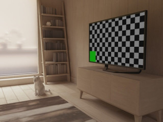 test