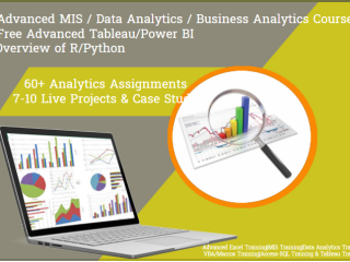 how-an-data-analyst-course-can-future-proof-your-career-in-2025-100-job-mis-course-in-delhi-110015-by-sla-consultants-india