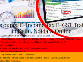 is-an-accounting-course-worth-it-in-2025-job-market-insights-100-job-best-accounting-course-in-delhi-110004-by-sla-consultants-india